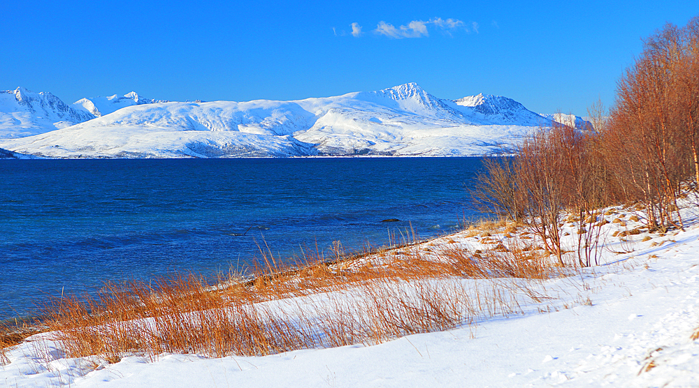 Near Sommaroy, Troms og Finnmark, north west Norway, Scandinavia, Europe