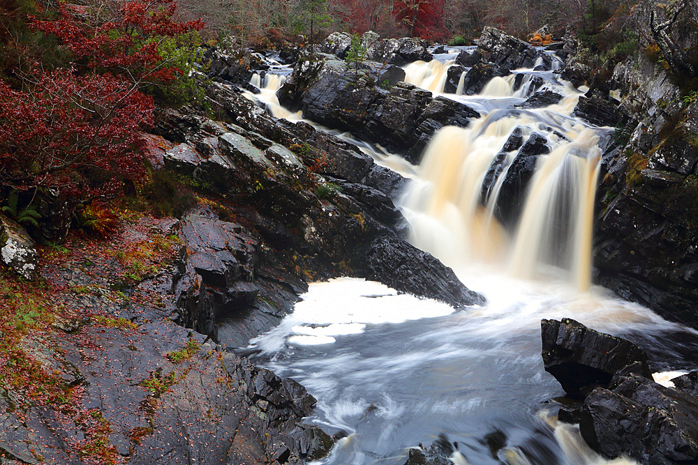 Rogie Falls, Ross-shire, Highlands, Scotland, United Kingdom, Europe