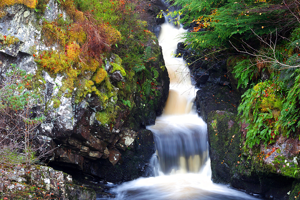 Rogie Falls, Ross-shire, Highlands, Scotland, United Kingdom, Europe