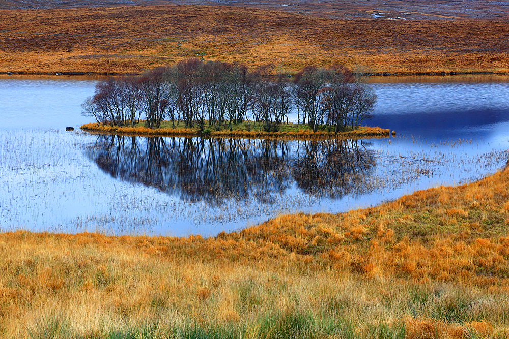 Assynt landscape, Highland, Scotland, United Kingdom, Europe