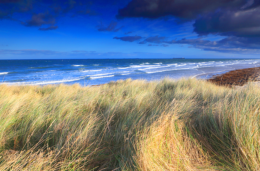 Looking towards the Farne Islands from Bamburgh, Northumberland, England, United Kingdom, Europe