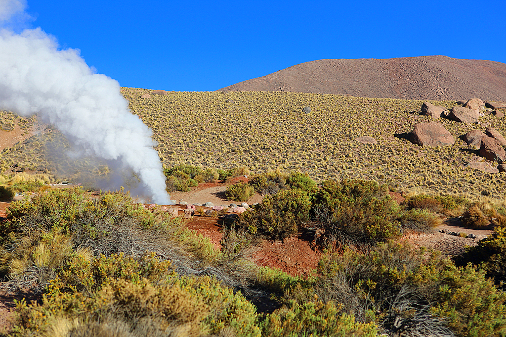 El Tatio Geyser Field, Atacama Desert Plateau, Chile, South America