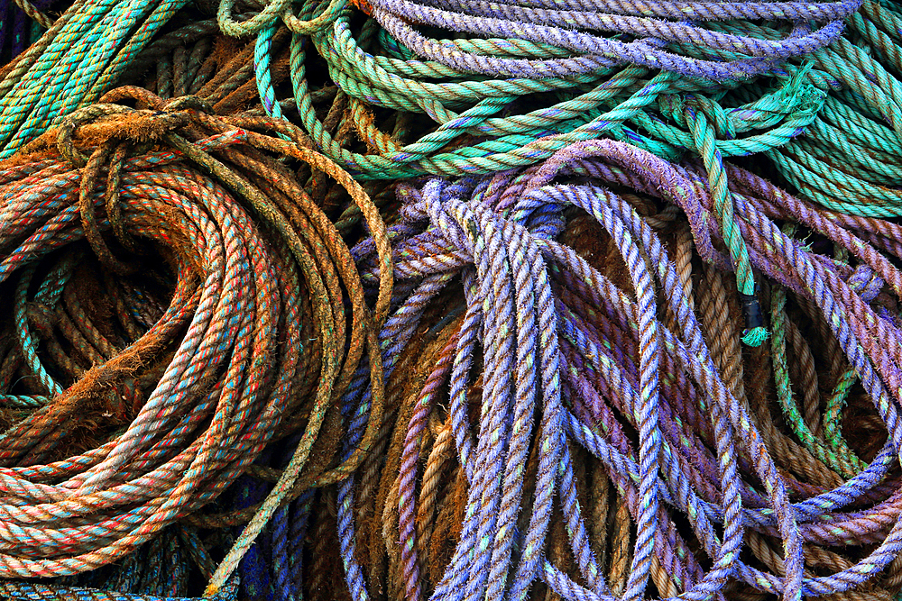 Rope detail, Craster, Northumberland, England, United Kingdom, Europe