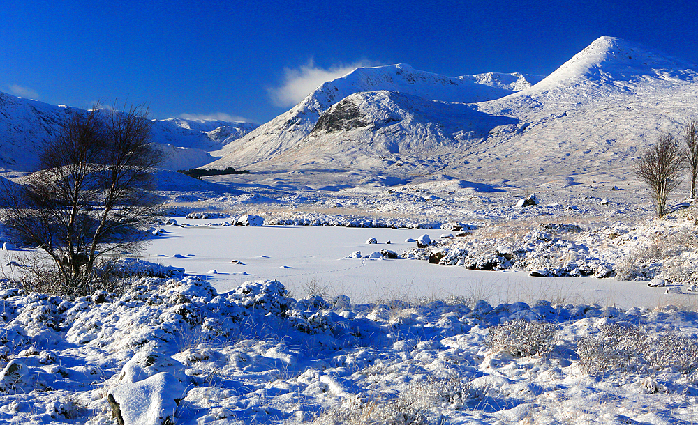 Rannoch Moor in winter, Highland, Scotland, United Kingdom, Europe