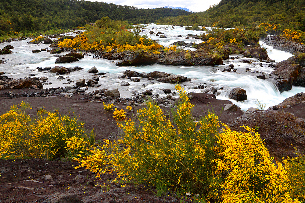 Petrohue River near Puerto Varas, Lake District, Chile, South America