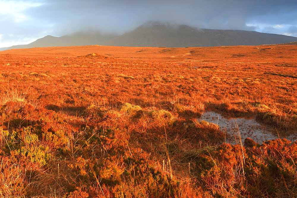 Moorland and mountains of northern Sutherland in winter, Highlands, Scotland, United Kingdom, Europe