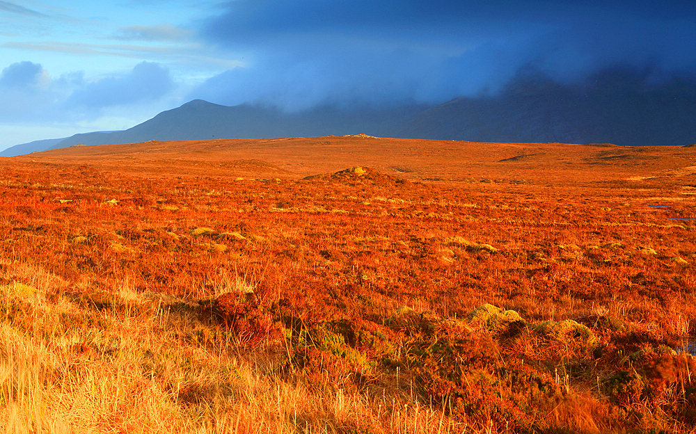 Moorland and mountains of northern Sutherland in winter, Highlands, Scotland, United Kingdom, Europe