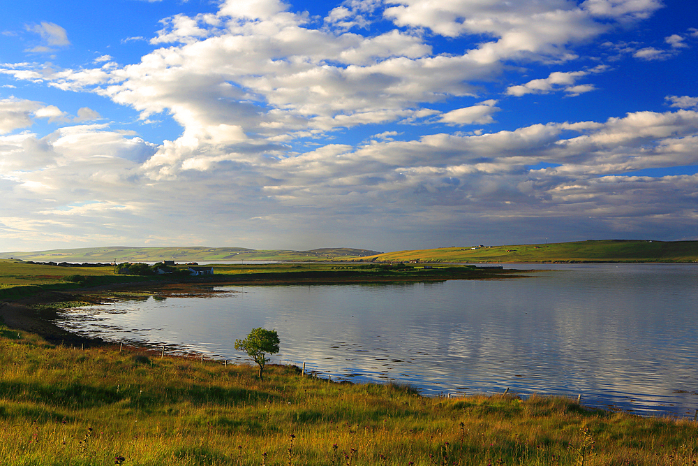 Orkney Island landscape in summer from Hoy, Orkneys, Scotland, United Kingdom, Europe