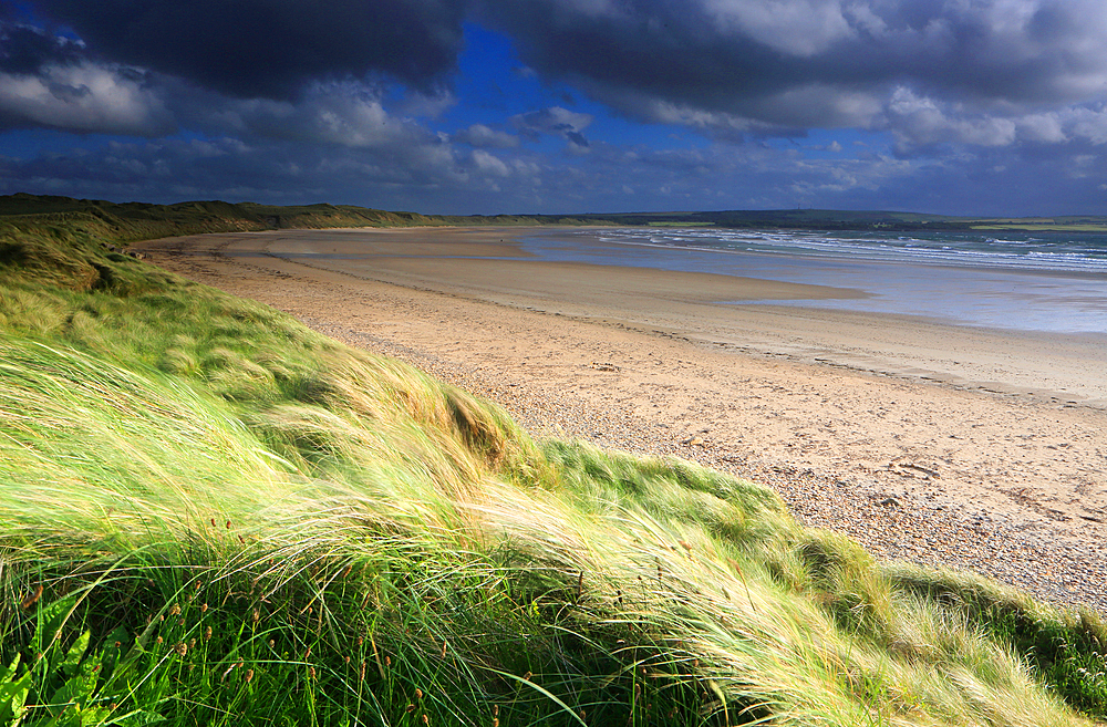 Dunnet Bay, near Thurso, Caithness, Highlands, Scotland, United Kingdom, Europe