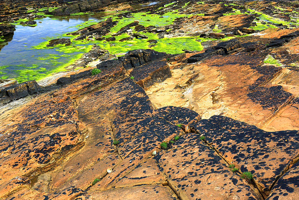 Rock details near Marwick Head, Mainland, Orkney Islands, Scotland, United Kingdom, Europe