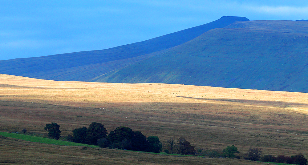 Looking towards Pen-y-Fan, Brecon Beacons, Powys, Wales, United Kingdom, Europe