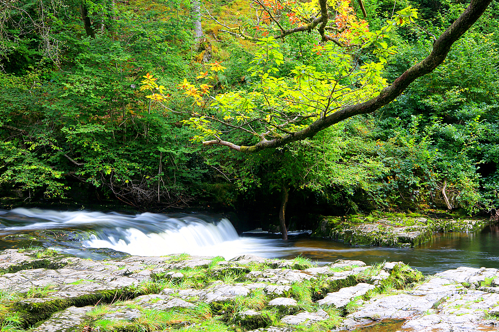 Sgwd Clun-Gwyn waterfall, Ystradfellte, Brecon Beacons, Powys, Wales, United Kingdom, Europe