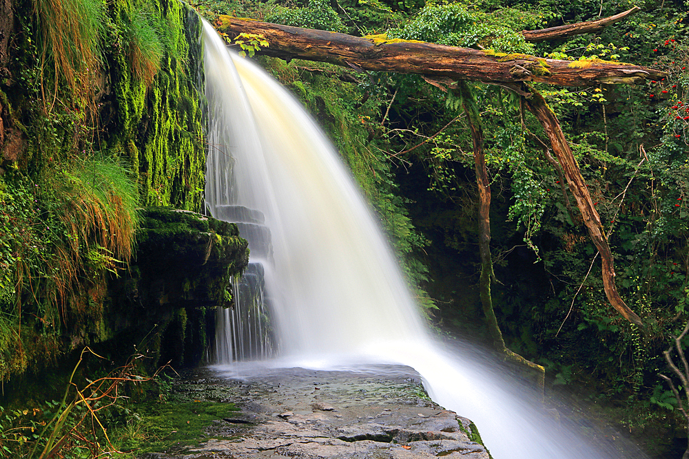 Sgwd Clun-Gwyn waterfall, Ystradfellte, Brecon Beacons, Powys, Wales, United Kingdom, Europe