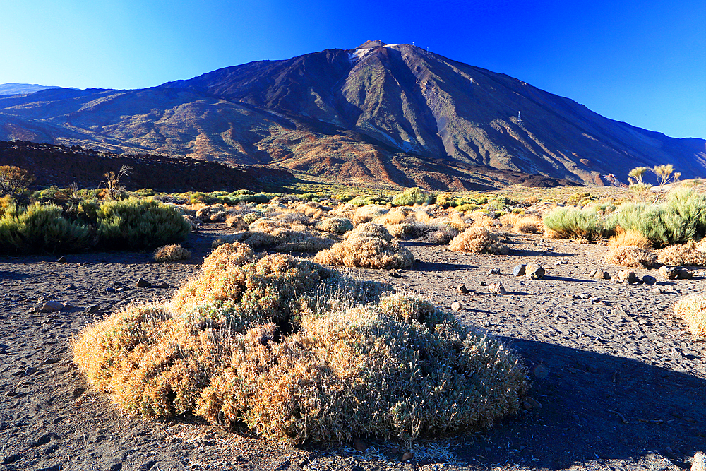 El Teide National Park, UNESCO World Heritage Site, Tenerife, Canary Islands, Spain, Atlantic, Europe