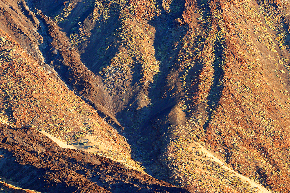 El Teide National Park, UNESCO World Heritage Site, Tenerife, Canary Islands, Spain, Atlantic, Europe