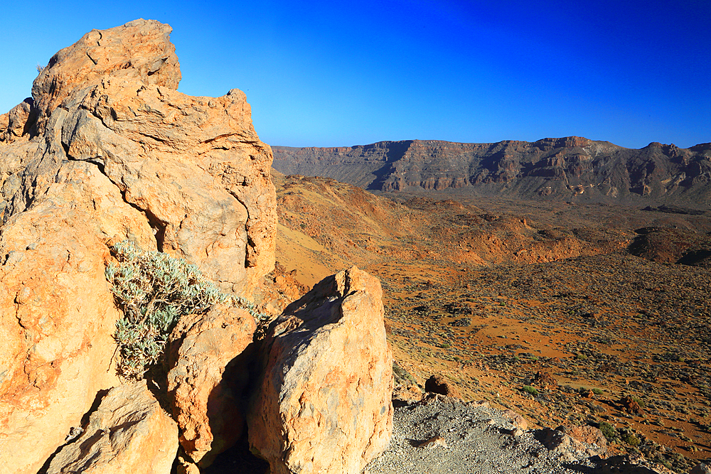 El Teide National Park, UNESCO World Heritage Site, Tenerife, Canary Islands, Spain, Atlantic, Europe