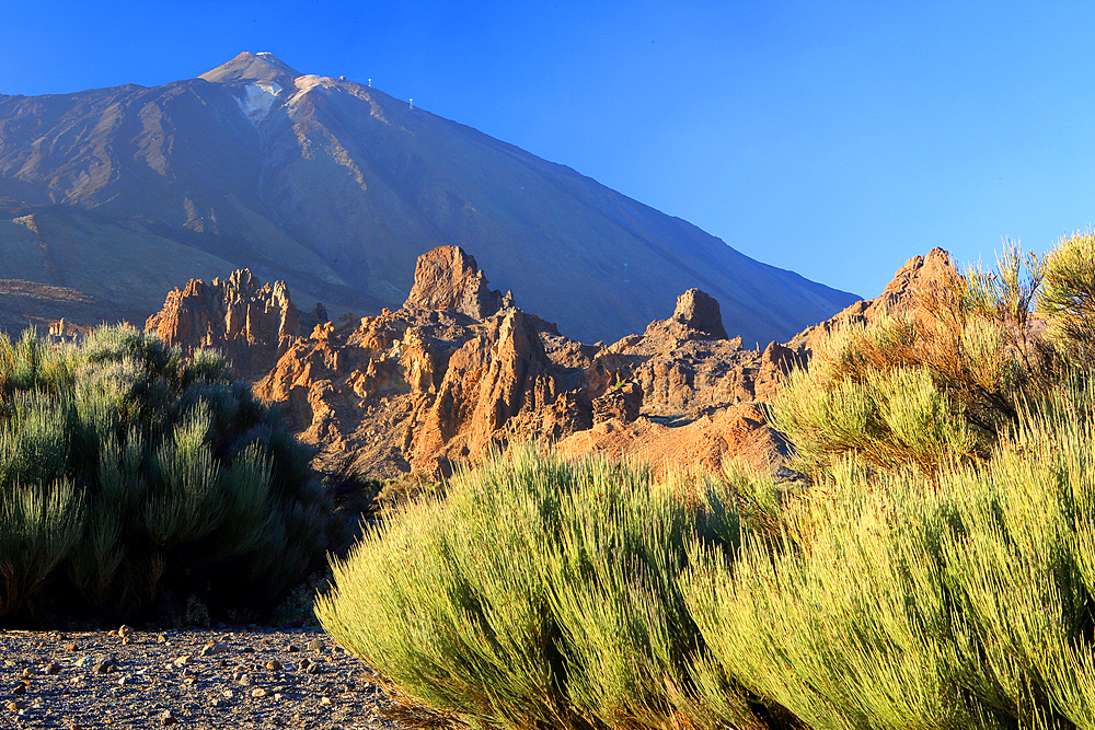 El Teide National Park, UNESCO World Heritage Site, Tenerife, Canary Islands, Spain, Atlantic, Europe