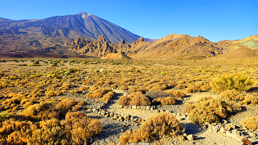 El Teide National Park, UNESCO World Heritage Site, Tenerife, Canary Islands, Spain, Atlantic, Europe