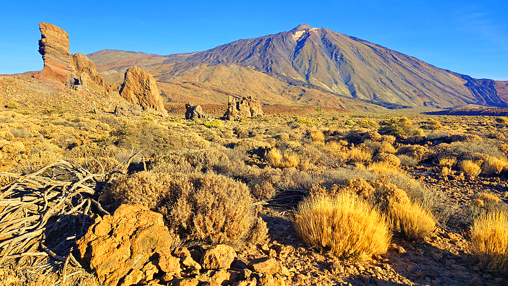 El Teide National Park, Tenerife, Canary Islands, Spain