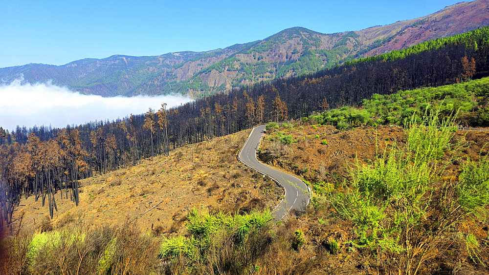 El Teide National Park, UNESCO World Heritage Site, Tenerife, Canary Islands, Spain, Atlantic, Europe