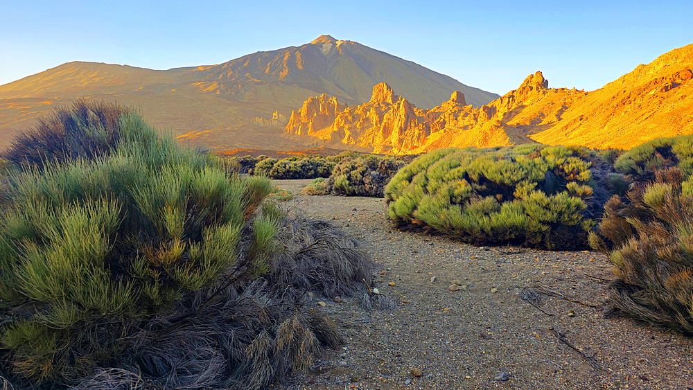 El Teide National Park, Tenerife, Canary Islands, Spain