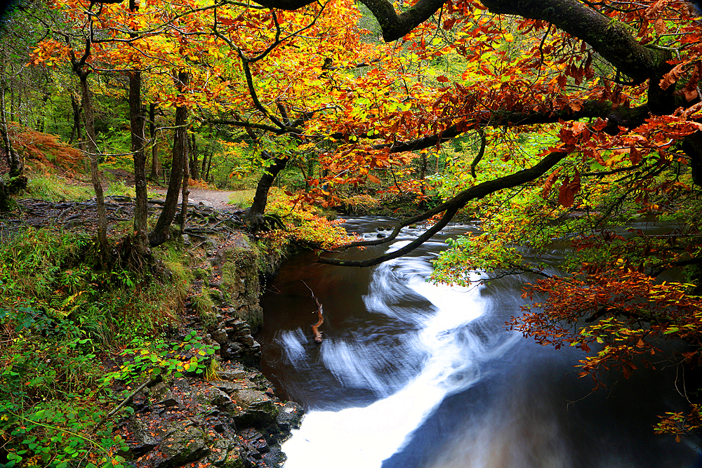 River Pyrddin, Pontneddfechan, Neath Valley, South Wales, United Kingdom, Europe