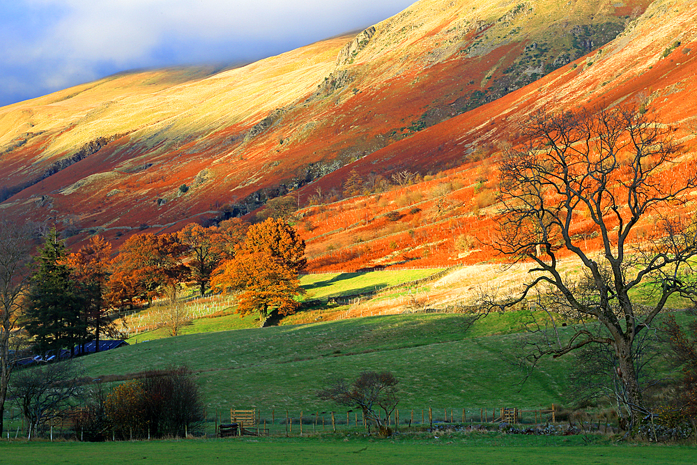 Lakeland fells above Grasmere, Lake District National Park, UNESCO World Heritage Site, Cumbria, England, United Kingdom, Europe