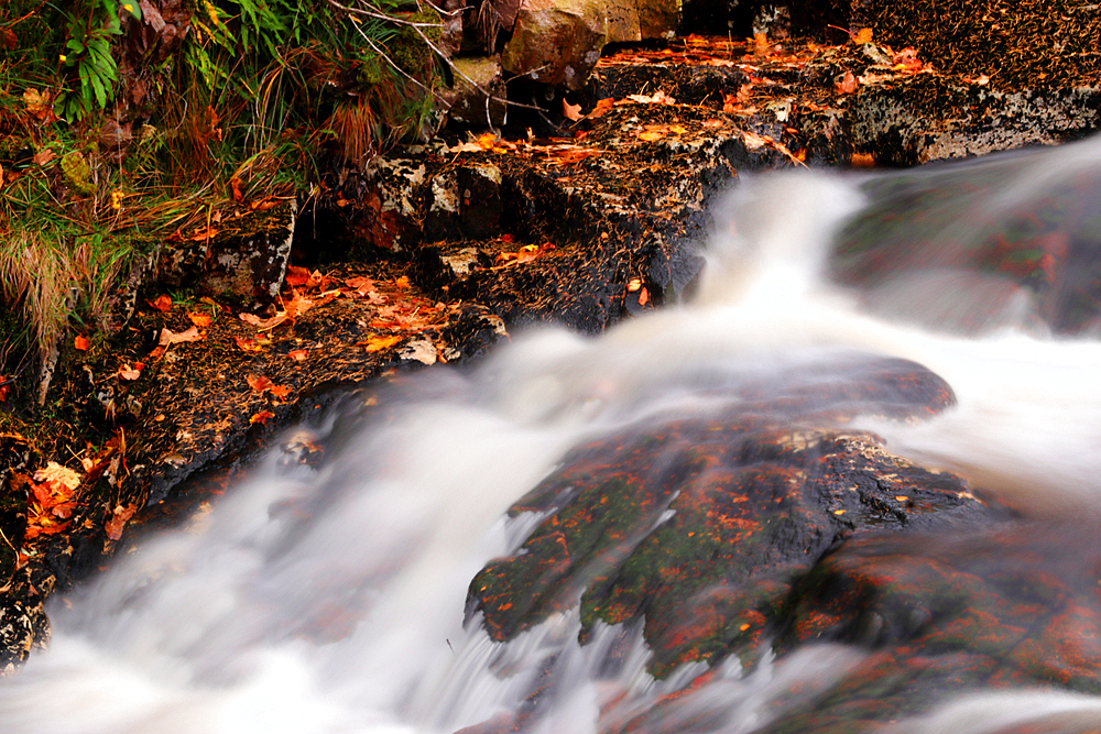 Mountain stream, Glen Etive, Highland, Scotland, United Kingdom, Europe