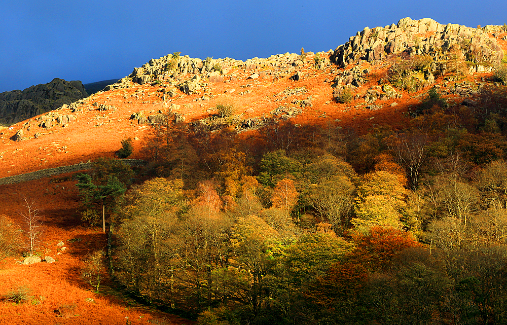 Fells above Grasmere, Lake District National Park, UNESCO World Heritage Site, Cumbria, England, United Kingdom, Europe