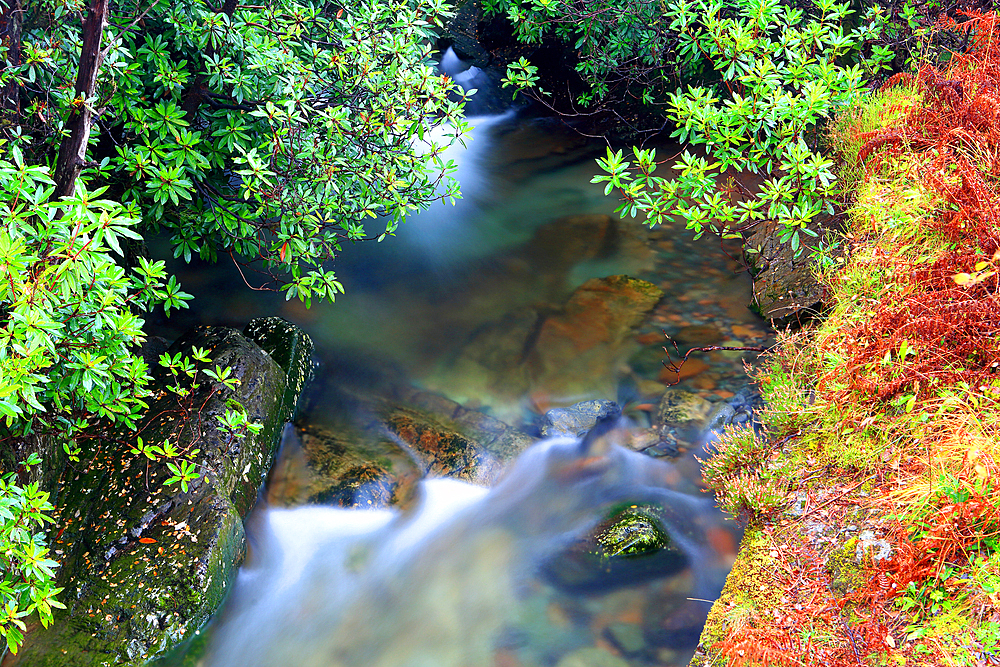 Mountain stream, Glen Etive, Highland, Scotland