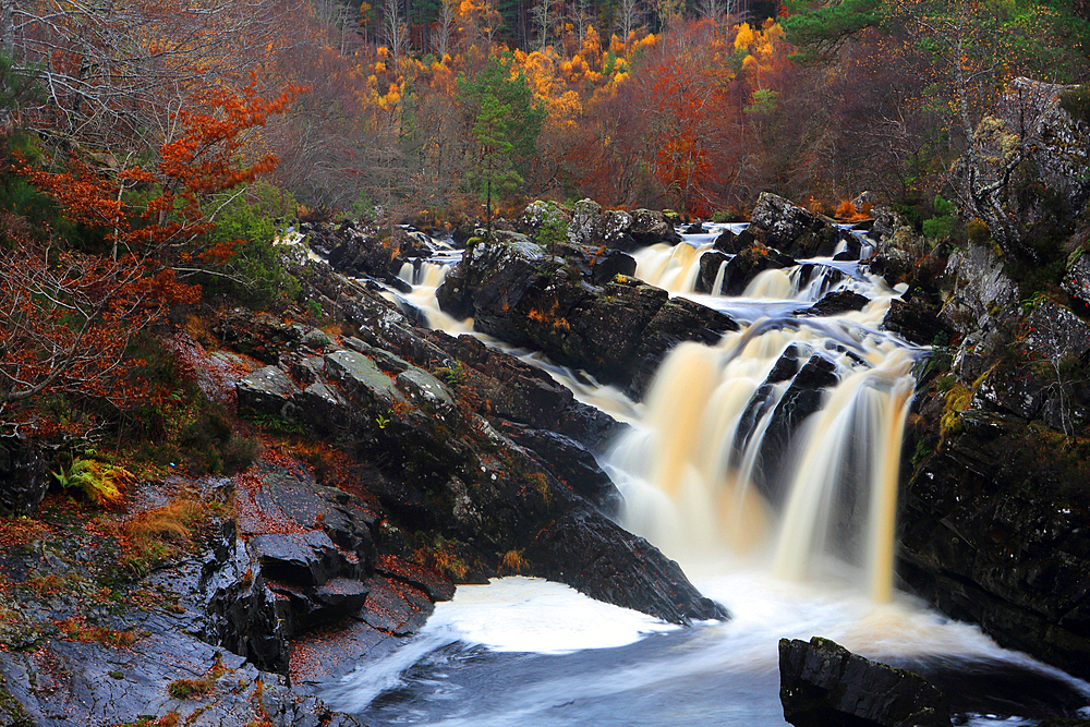 Rogie Falls, Highland, Scotland, United Kingdom, Europe