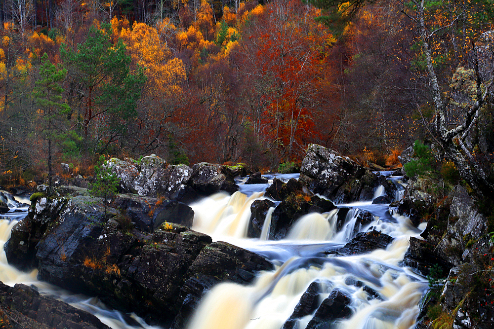 Rogie Falls, Highland, Scotland, United Kingdom, Europe