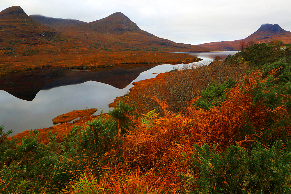 Looking towards Stac Pollaidh, Assynt, Highland, Scotland, United Kingdom, Europe