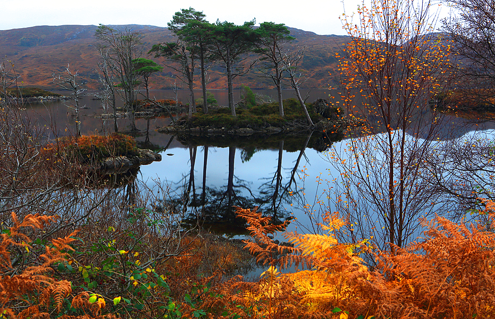 Assynt landscape, Highland, Scotland, United Kingdom, Europe