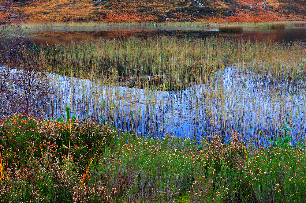 Sutherland landscape in autumn, Highland, Scotland, United Kingdom, Europe