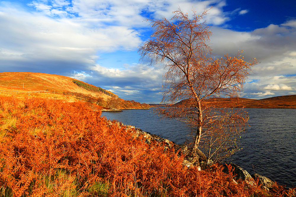 Loch Naver, Sutherland, Highland, Scotland, United Kingdom