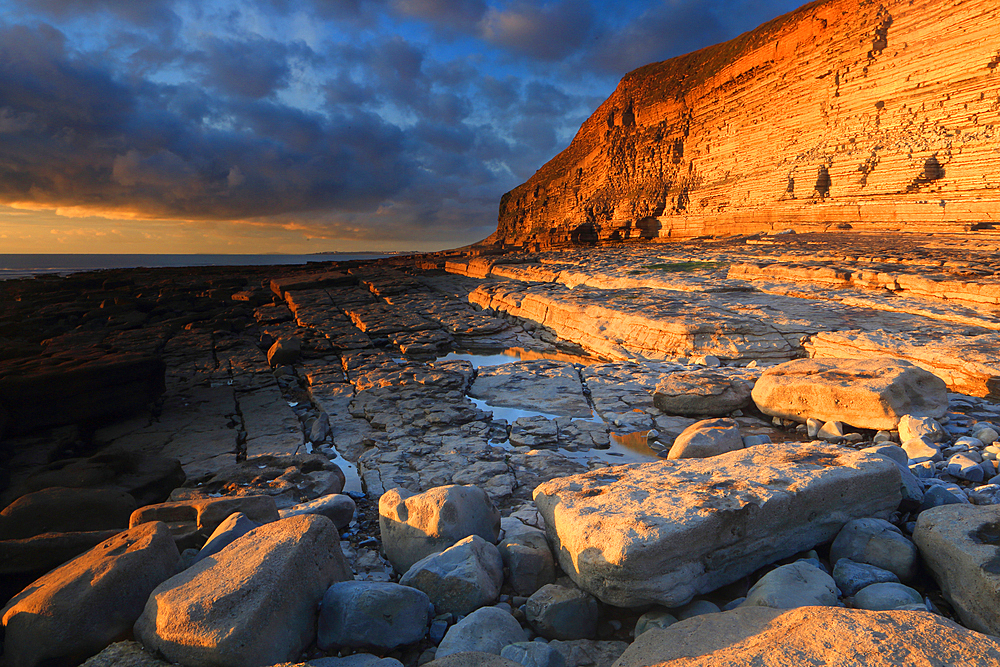 Golden evening light on limestone cliffs, Dunraven Bay, Southerndown, Vale of Glamorgan, Wales, United Kingdom