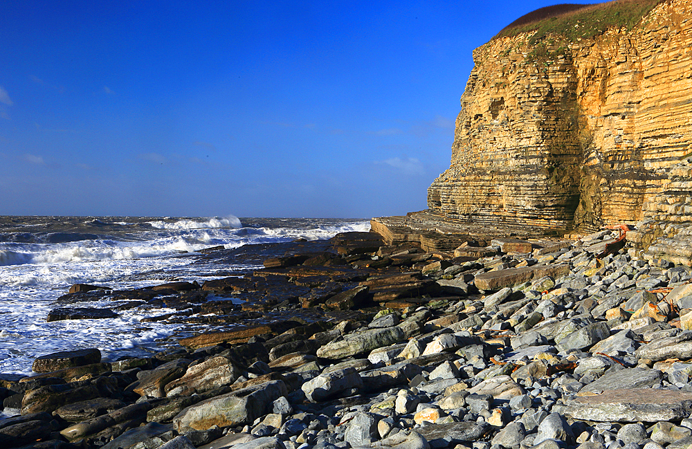 Limestone cliffs, Dunraven Bay, Southerndown, Vale of Glamorgan, South Wales, United Kingdom