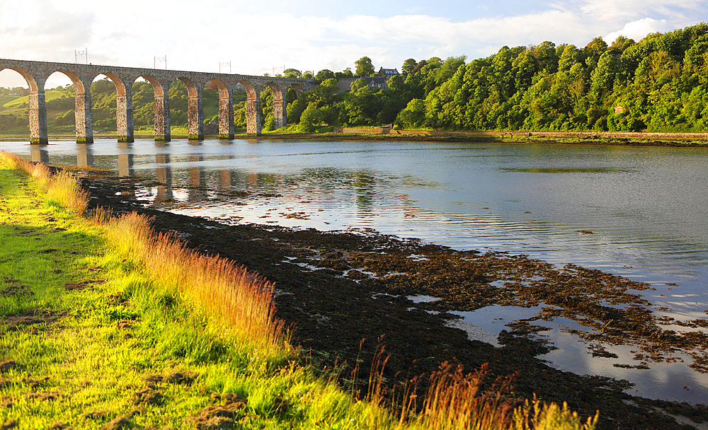 Royal Border Bridge and River Tweed, Berwick-upon-Tweed, Northumberland, England, United Kingdom, Europe