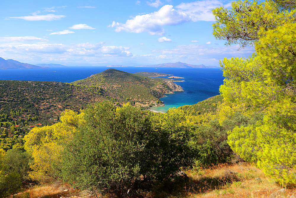 Poros, Saronic Gulf, Greek Islands, Greece, Europe