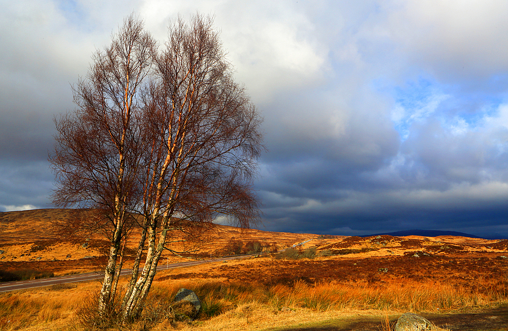 Rannoch Moor, northern Scotland