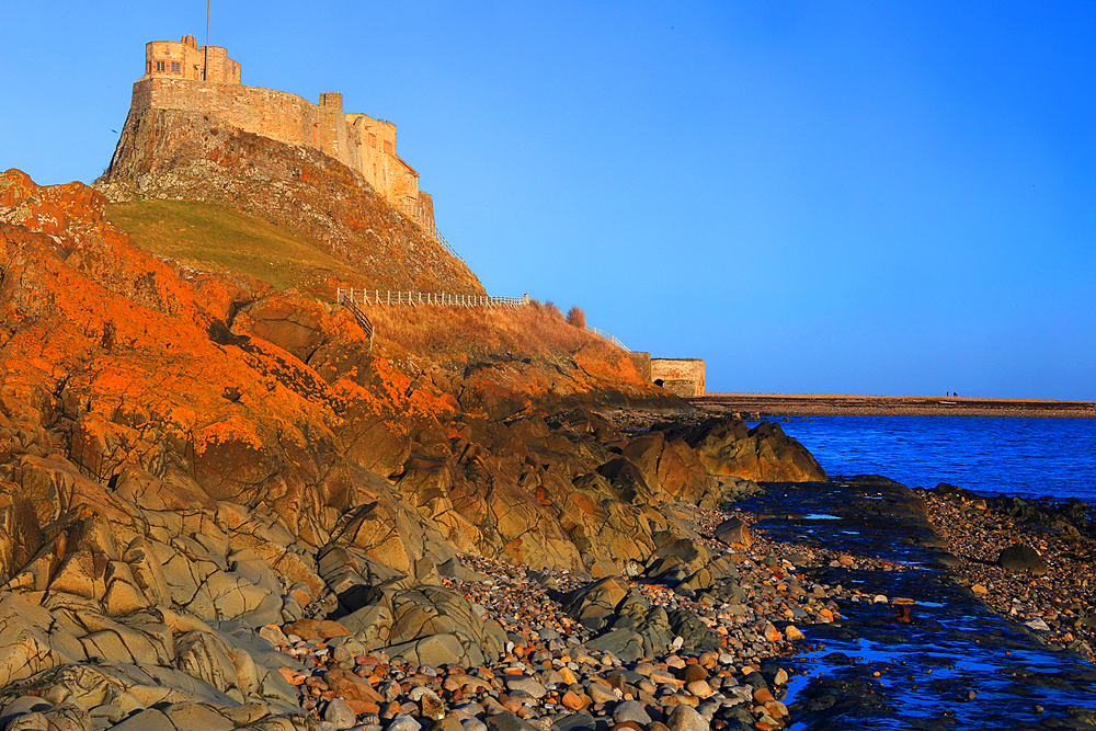 Lindisfarne Castle, Holy Island, Northumberland, England