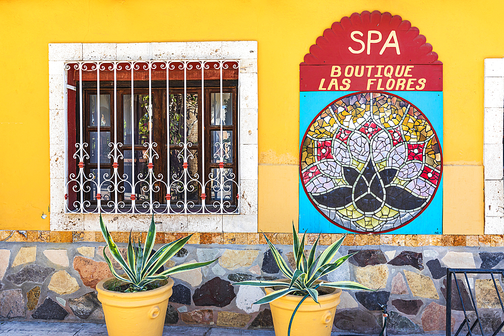 Loreto, Baja California Sur, Mexico. November 17, 2021. Potted plants outside a flower shop in Loreto.