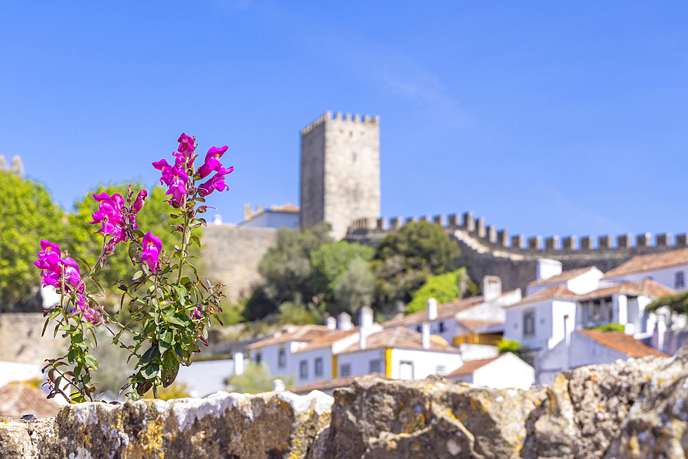 Europe, Portugal, Obidos. Castle wall behind homes in Obidos.