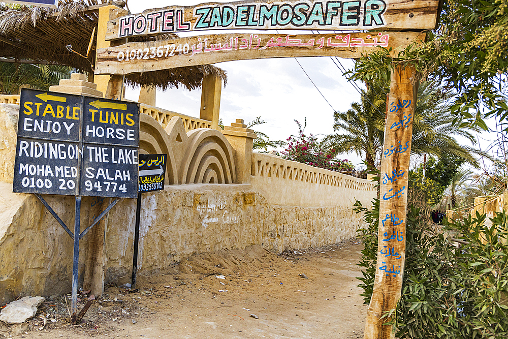 Faiyum, Egypt. February 19, 2022. Horse stable offering rides for tourists in the village of Faiyum.