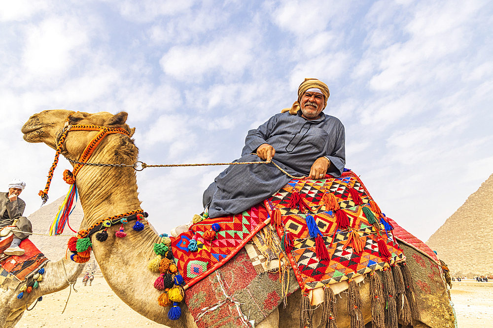 Giza, Cairo, Egypt. February 18, 2022. Man reclining on a camel with deocrated blanket and halter at the Great Pyramid complex in Giza.