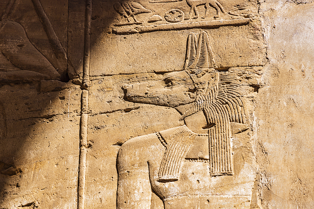 Edfu, Aswan, Egypt. Carving of the god Anubis in the Temple of Horus at Edfu.