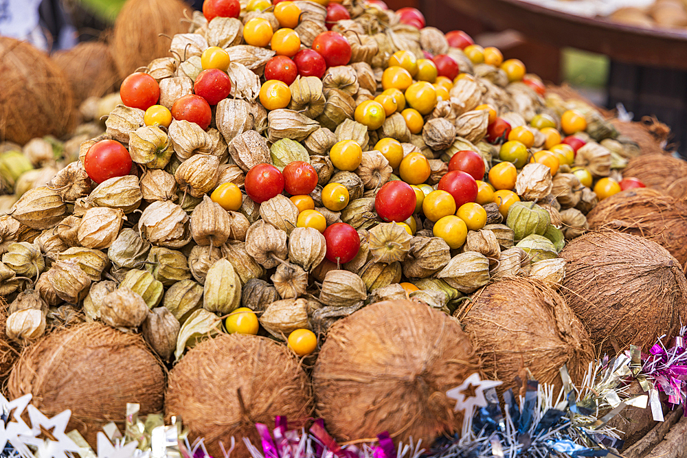 Thebes, Luxor, Egypt. Chinese Lantern Fruit, also known as Strawberry Tomato, and coconuts.