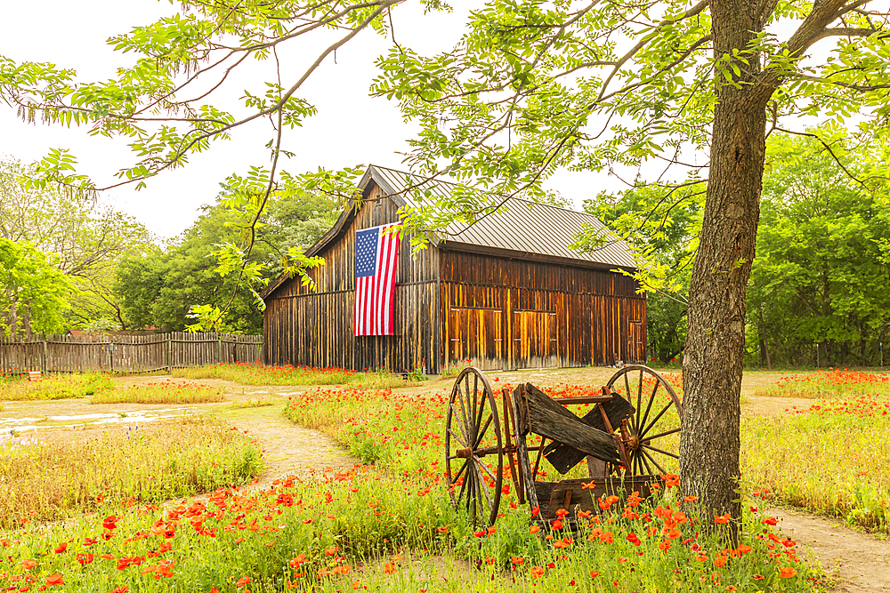 Castroville, Texas, USA. April 12, 2021. Large American flag on a barn in the Texas hill country.