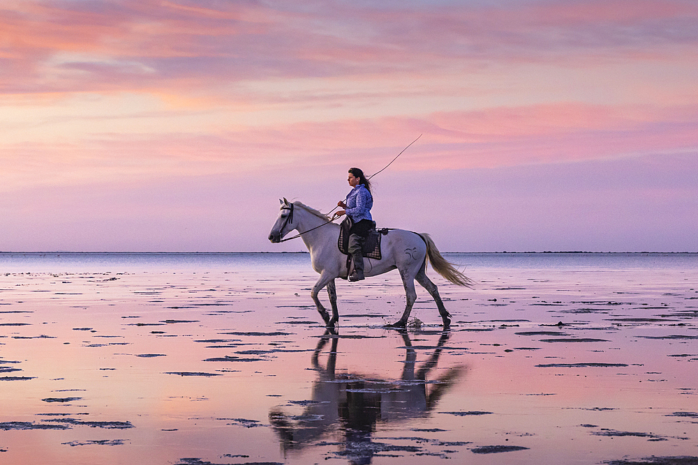 Saintes-Maries-de-la-Mer, Bouches-du-Rhone, Provence-Alpes-Cote d'Azur, France. July 6, 2022. Woman riding a horse through the marshes of the Camargue before sunrise.